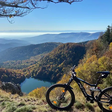 Rouge Gazon Site Naturel Classe *