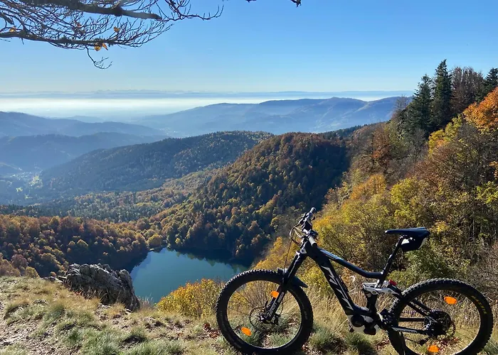 Rouge Gazon Site Naturel Classe *